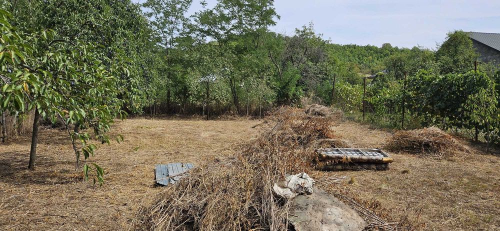 Teren intravilan + Casa, 1.450 mp - Schitu-Scoicesti, Argeș