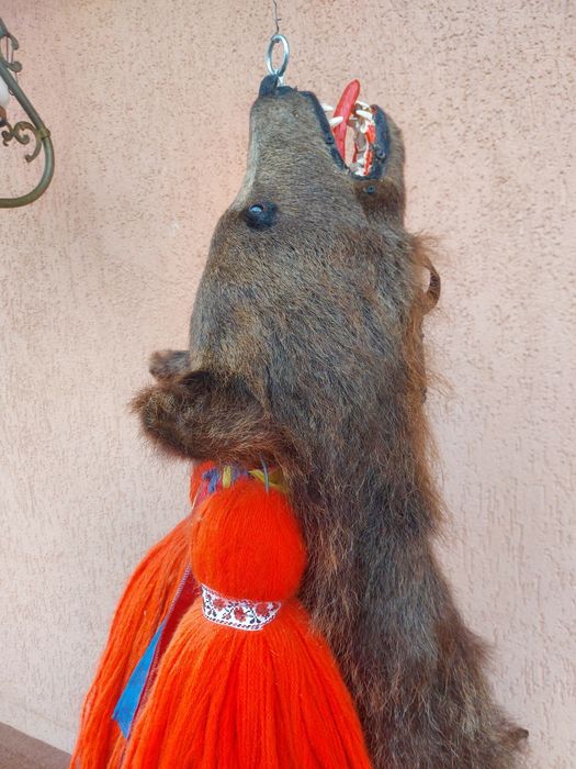 Blana de urs/piele de urs