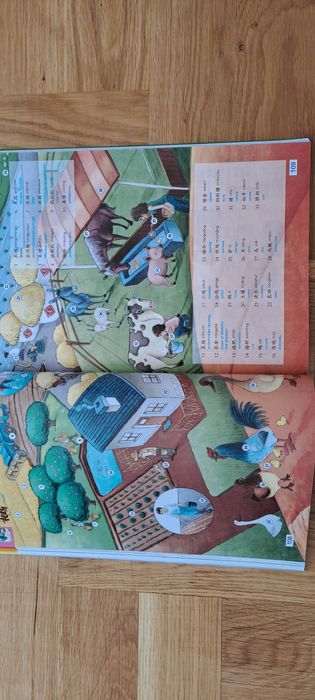 Китайски картинен речник