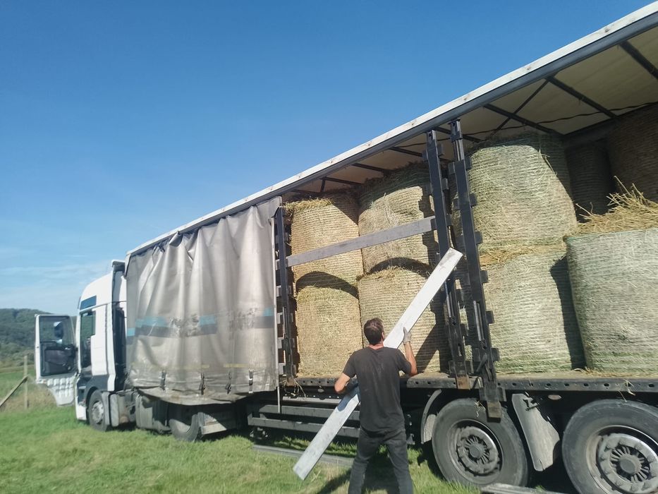 Baloti:Lucerna.Trifoi.Fan.Lolium.Rotunzi min 40.Drept.500.Trans.inclus