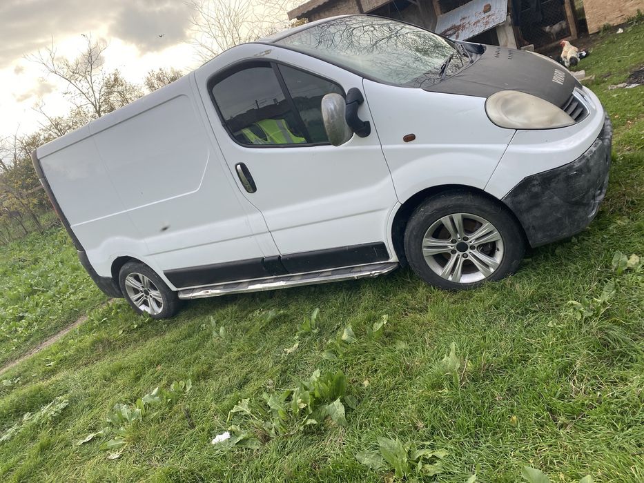 Vamd  duba  reno trafic 6 treote