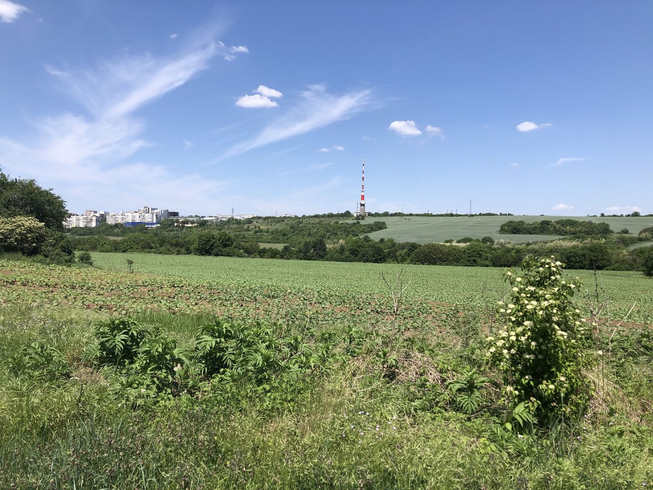 Продава се Парцел в Плевен, Кайлъка - 4249 кв.м за 7 €/кв.м - Снимка #2