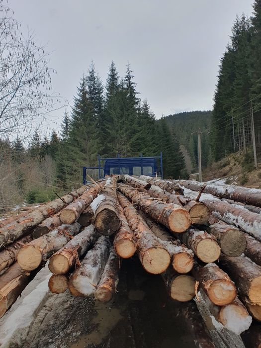 Cherestea si lemne de foc