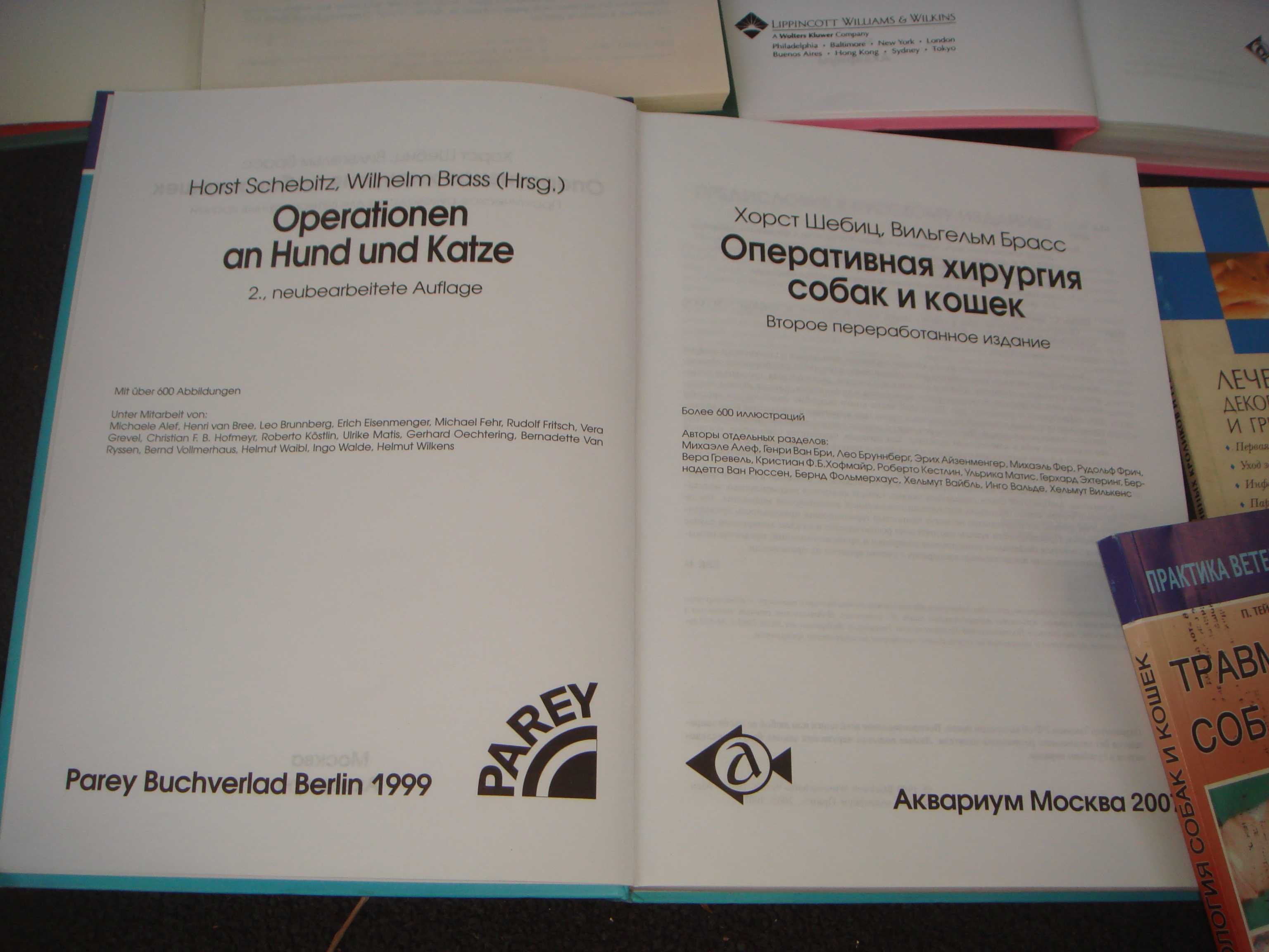 Книги по лечению и операциям для кошек и собак Альбомного Формата