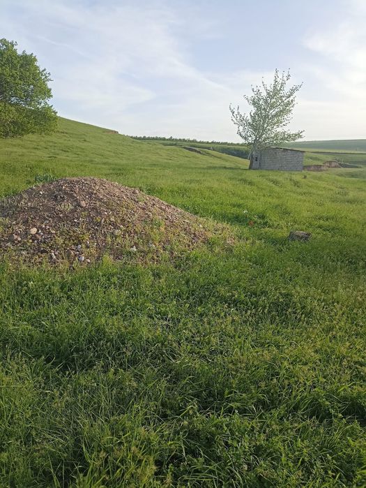 Земля 25 соток..