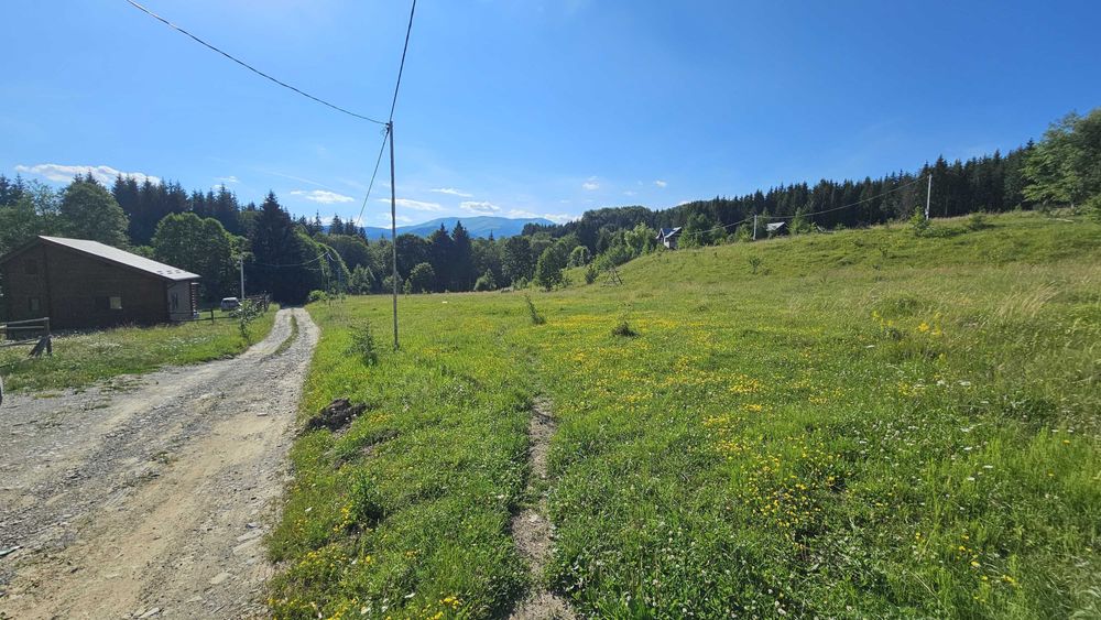 Teren 2.290 mp intravilan Valea Doftanei. Deschidere strada 51+40 m