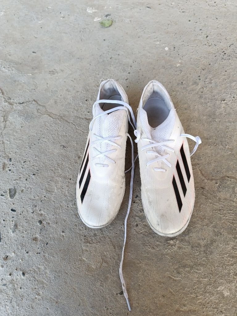 Adidas x arginal