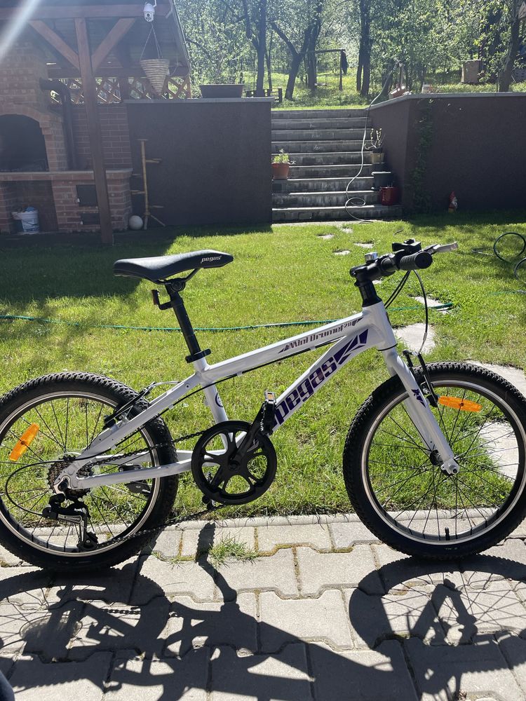 Bicicleta MTB Copii Pegas Mini Drumet 20'' Mtb