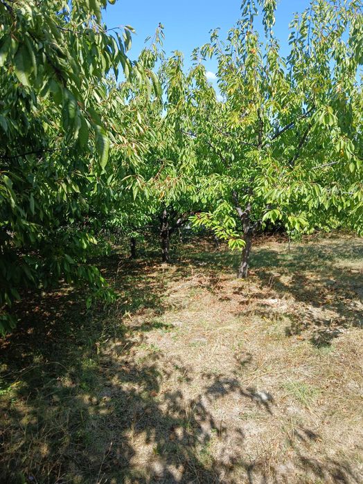 Продава се Къща в с. Мали Върбовник, Област Кюстендил - 104 кв.м за 294 €/кв.м - Снимка #8