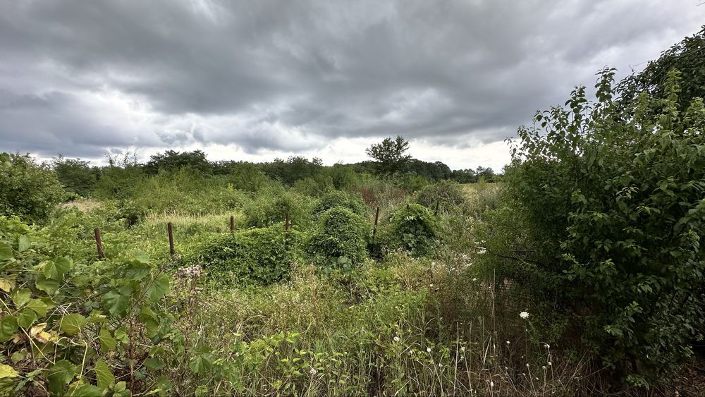 Casa in Ciolpani, langa padure