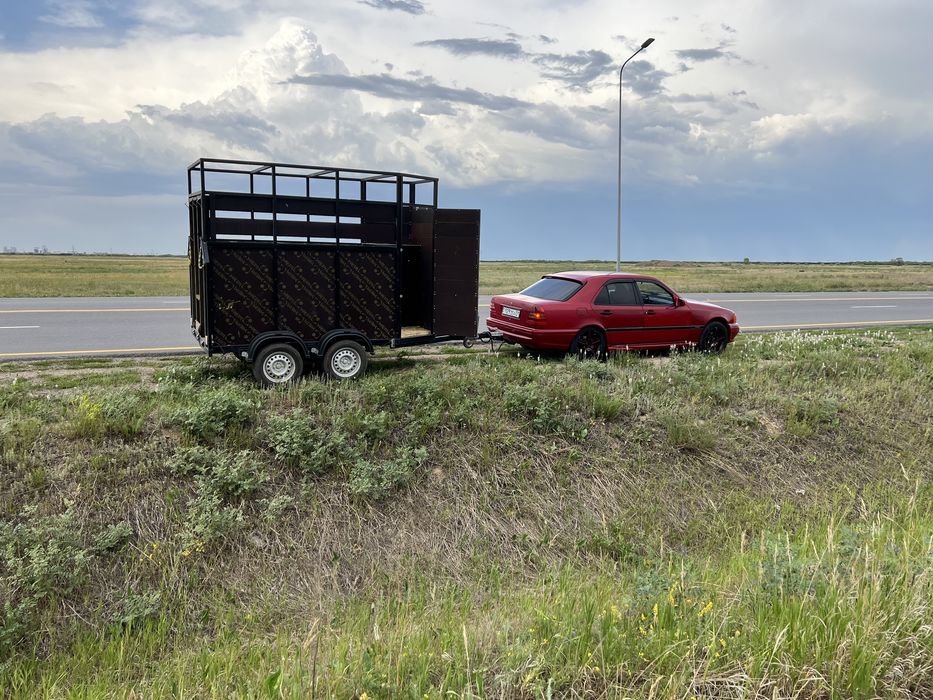 Услуга коневозка услуги перевозка