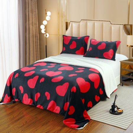 Set patura cu blanita + 2 fete perne