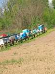 Vând 10..12 famili de albine