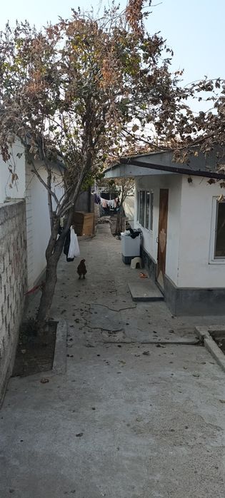 Продаётся дача на Таш-Морем