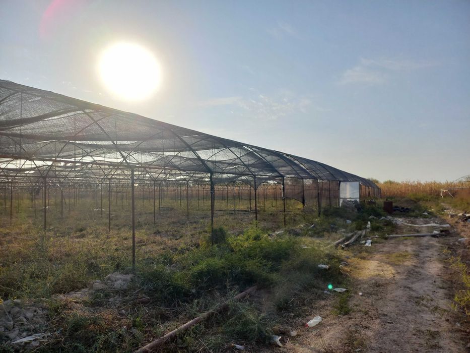 Сирдарё вилояти Сирдарё тумани Малик МФЙда иссиқхона биноси