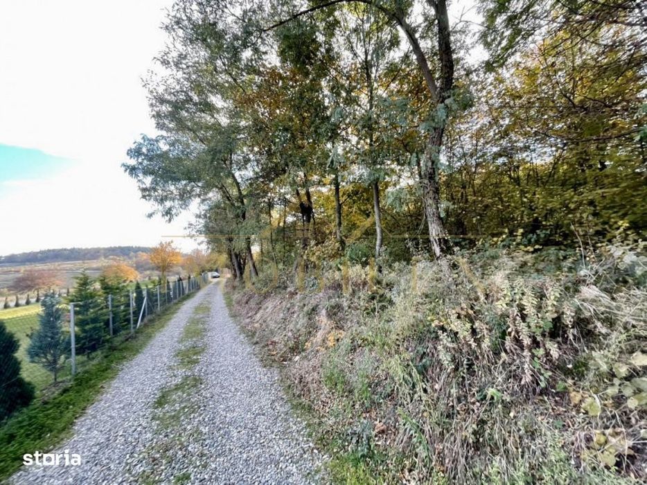 Teren 1256 mp, de vanzare, zona Ciurila