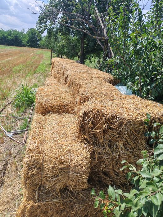 Baloți din paie de grâu