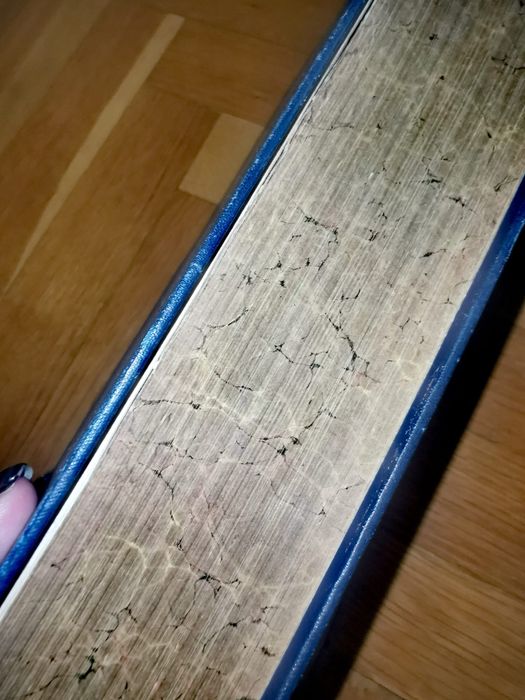 Медицински книги учебници Немски Platen Die Neue Heilmethode 3 тома