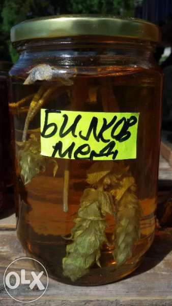 Домашни Сладка от Горски Плодове