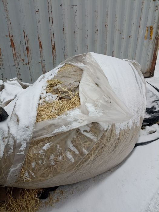 Отдам даром салому самовывоз