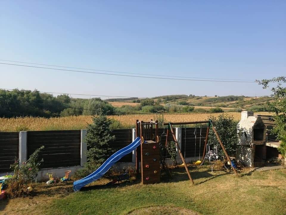 Casa 2 dormitoare Uzunu