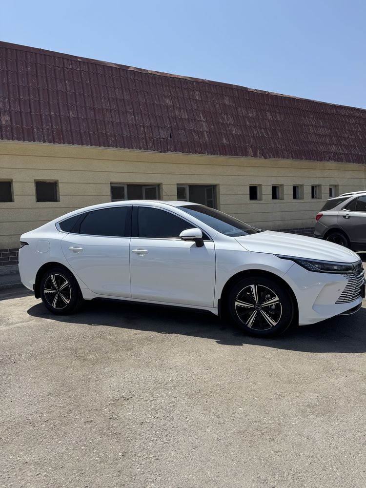 Byd chazor flagship full 2024