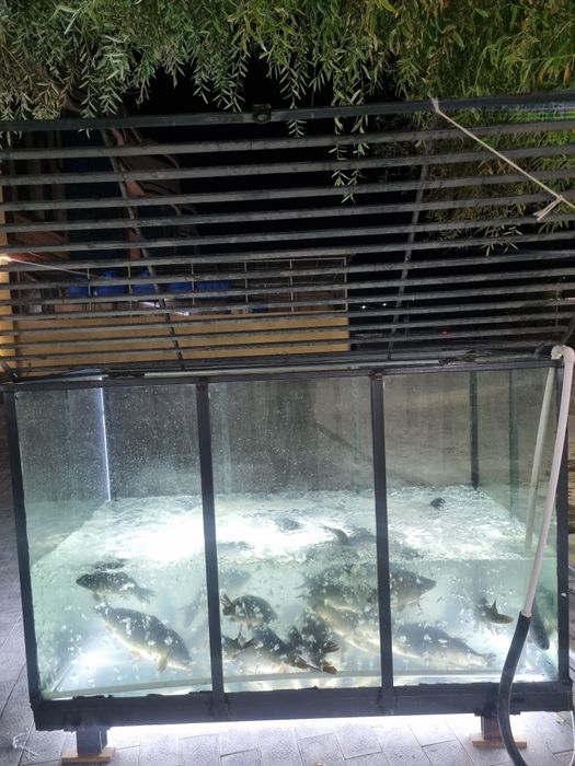 Akvarium baliq sotish uchun