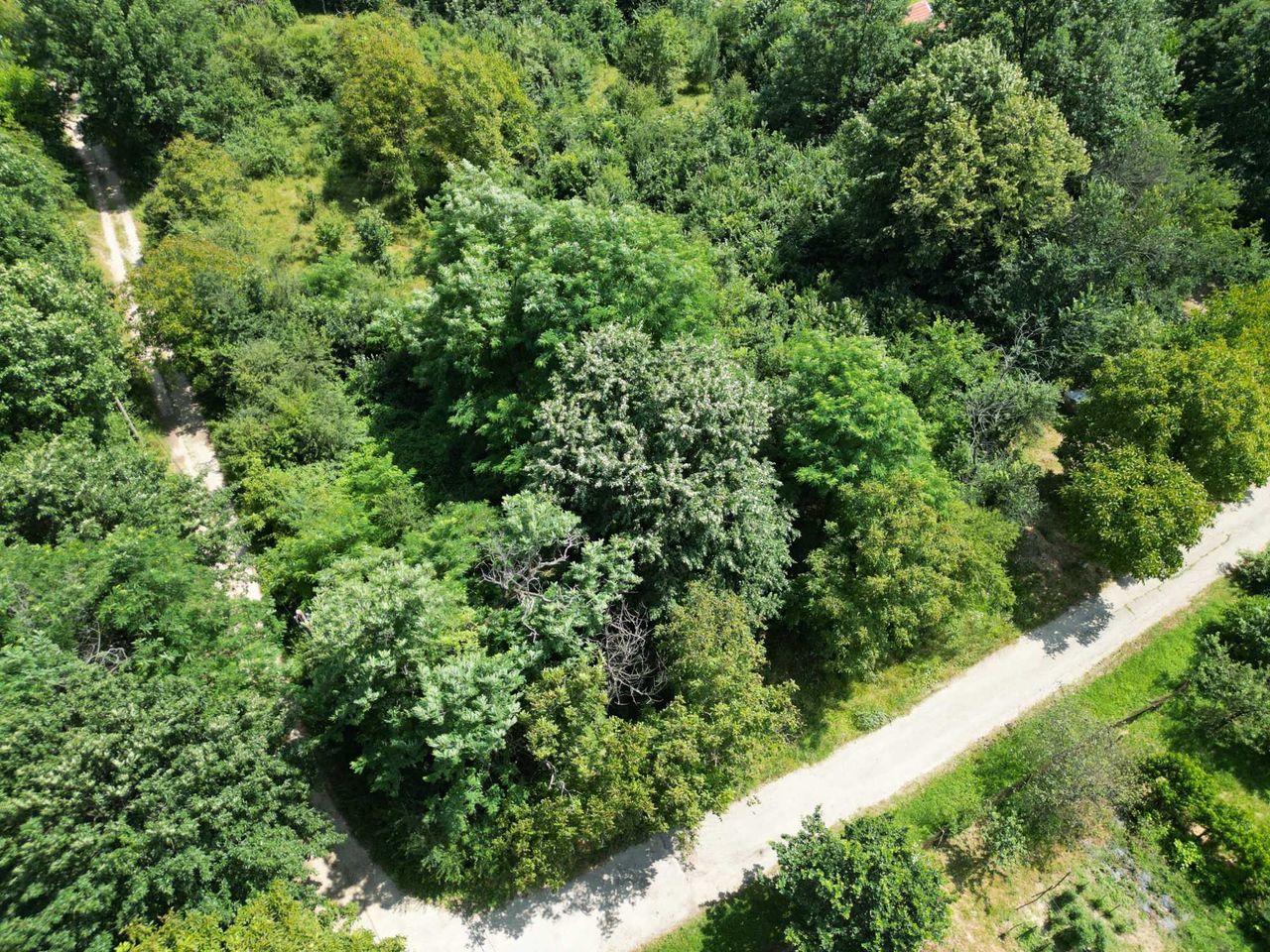 Продава се Парцел в Габрово, Трендафил 2 - 3812 кв.м за 11 €/кв.м - Снимка #3