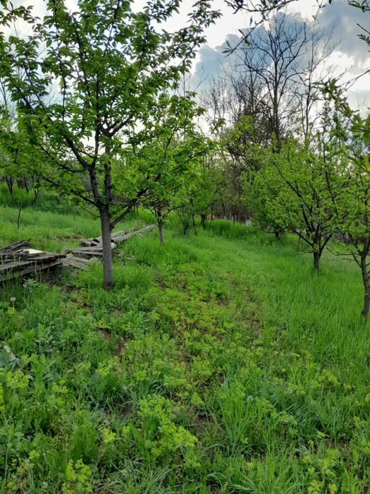 Casa de vânzare în Grebenisul de Câmpie