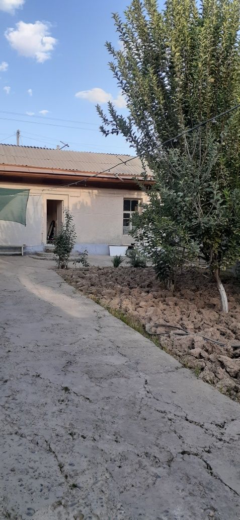 Ohunbboyibda yer sotiladi 2.5sotik 8×32
