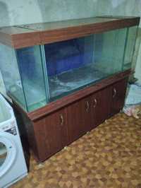 Продается аквариум