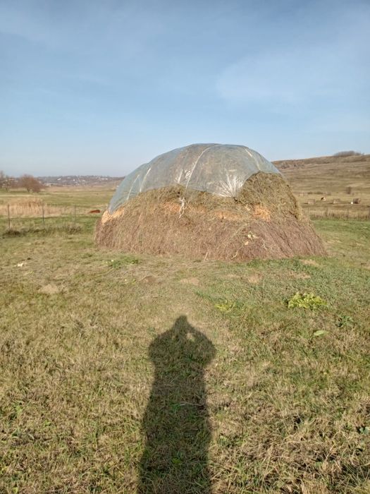 fân de vânzare pret negociabil