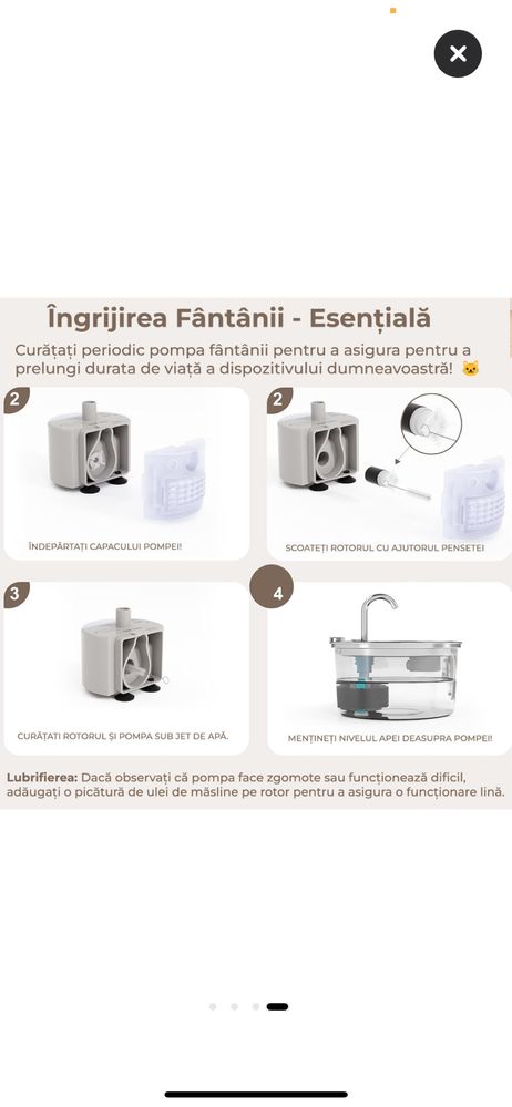 Fantana apa animale