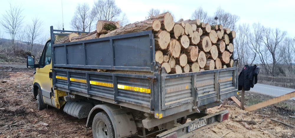 Lemne pentru foc avem si uscate