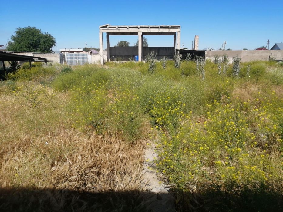 Продам участок 25 сот за 11 млн