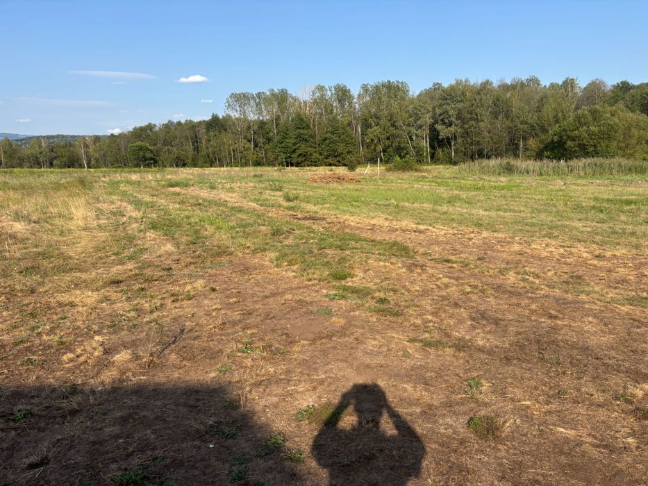 Hala de inchiriat sau vânzare