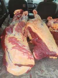 Продам мясо конины молодое экологически чистое