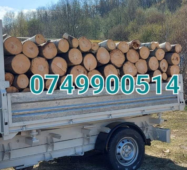 Lemne de foc la 320 lei metru esență tare