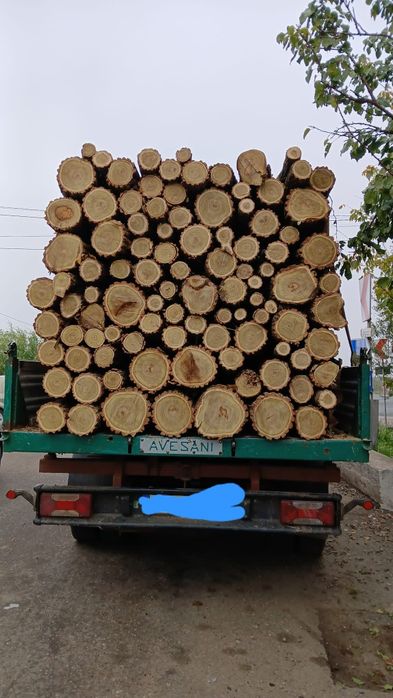 Lemn de foc fag salcam taiat la dimensiunile dorite de client