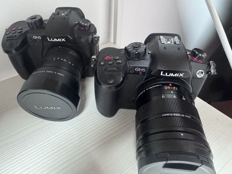 Видеокамеры Panasonic GH5 II