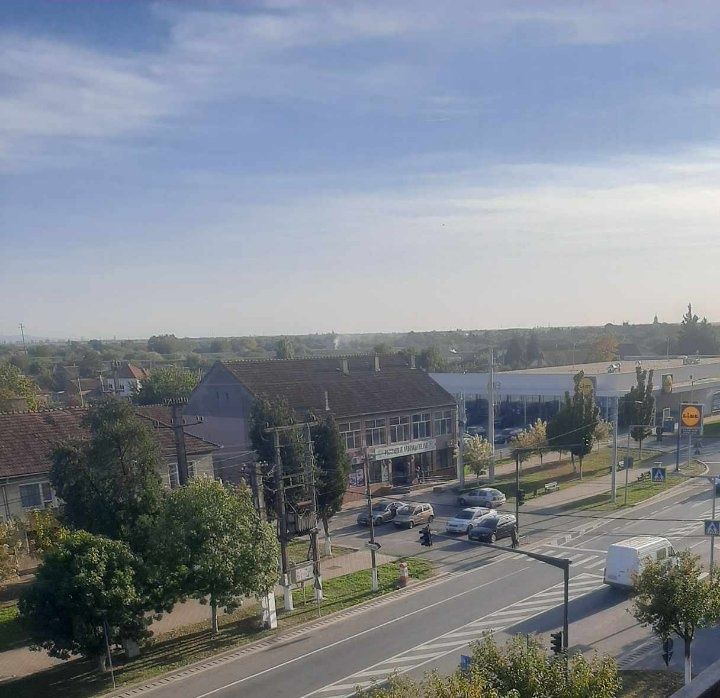 De inchiriat / 1 camera / chisineu cris / centru