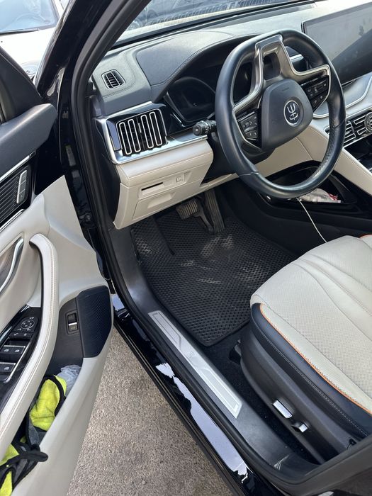 BYD son plus краска тоза flagship