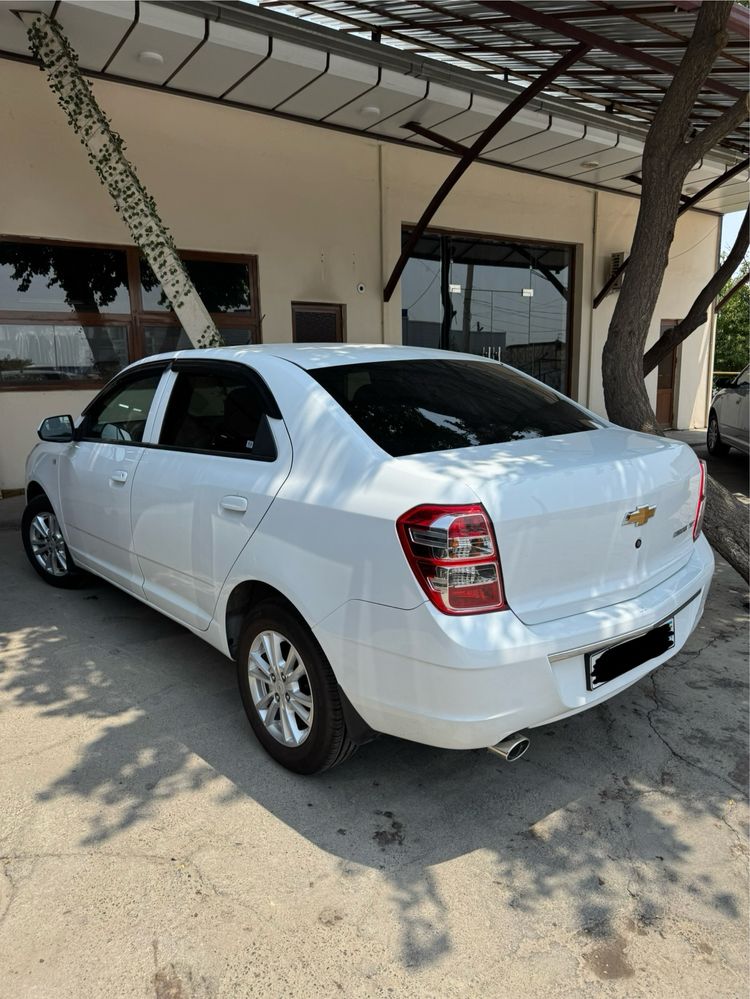 Cobalt Кобалт 2024