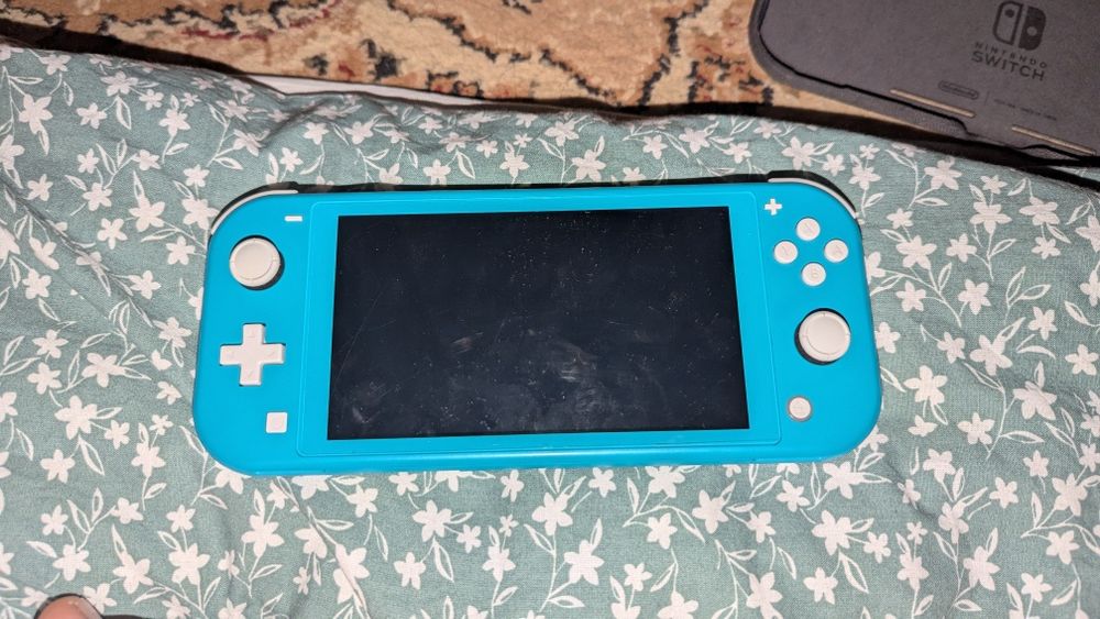 Nintendo switch lite