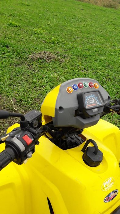 Vand atv DINLI 110cc