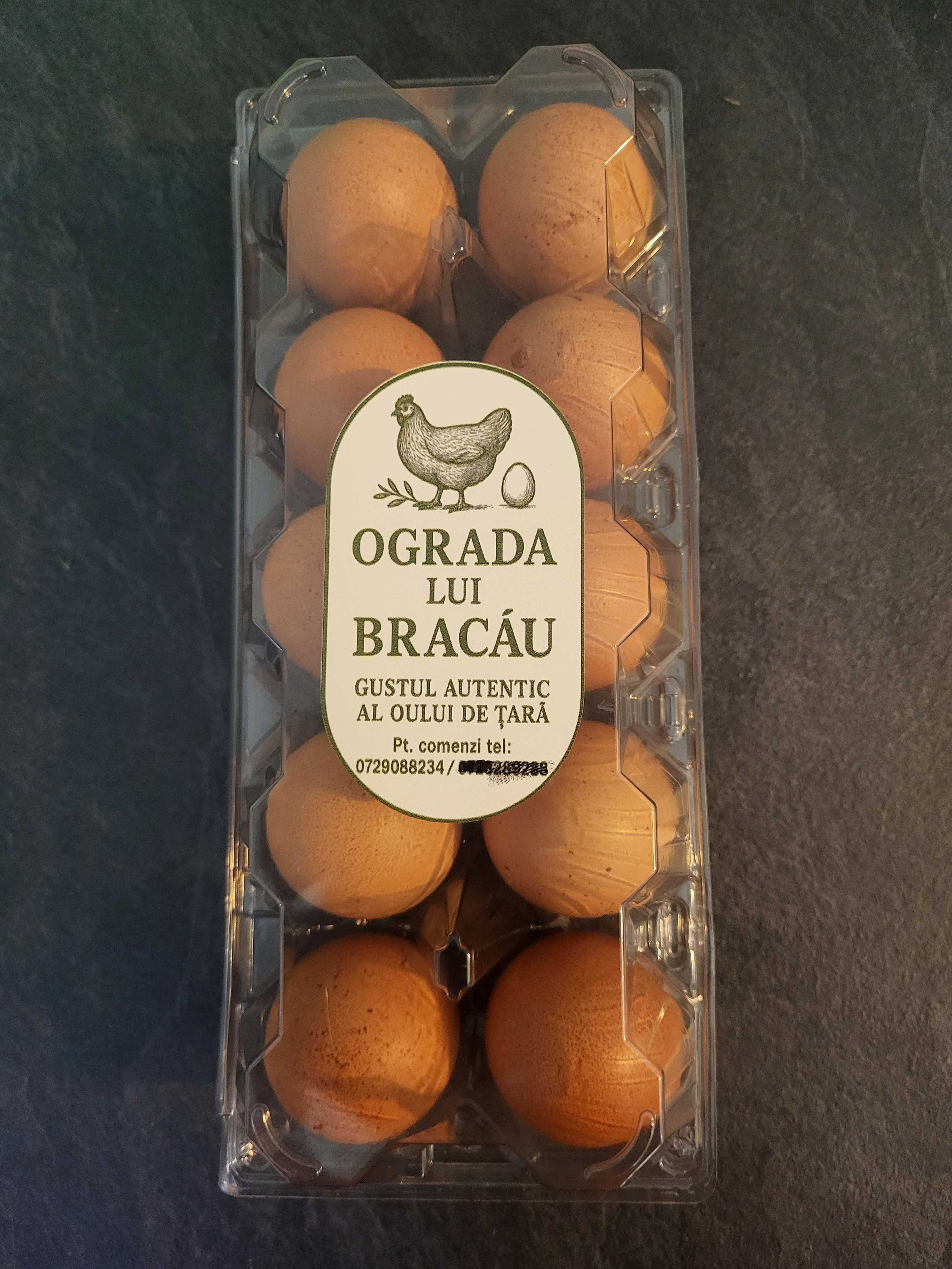 Vand oua de tara, pentru consum.