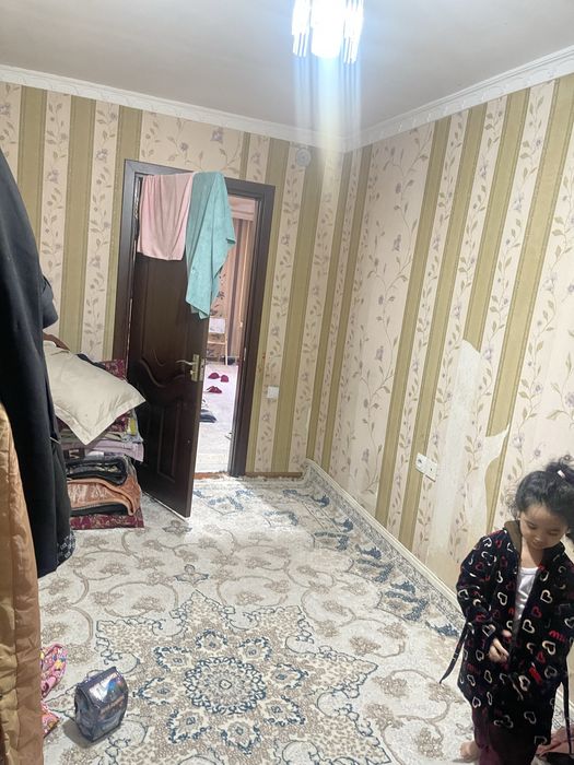 olmazor tumani nukus tetri yonida