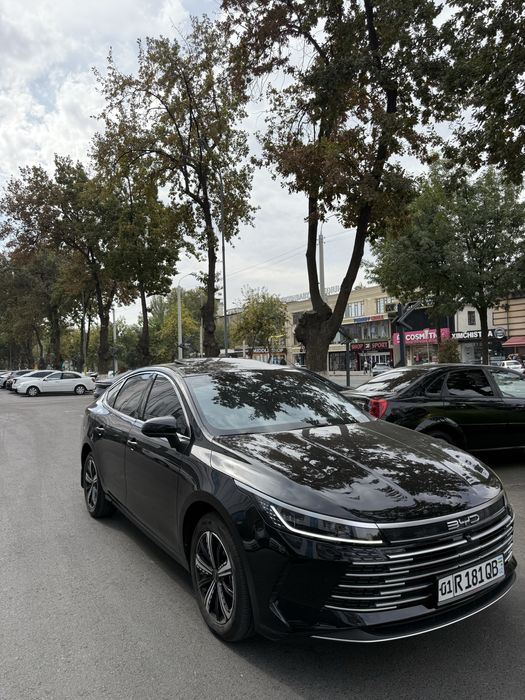 Byd chazor 1200 km