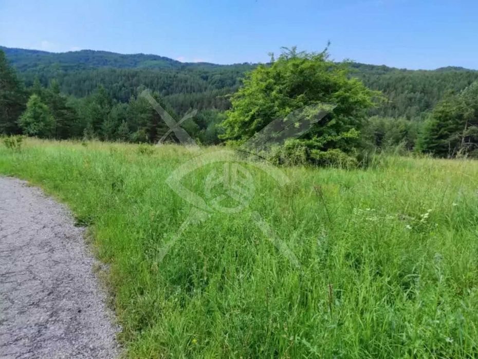 Парцел в село Плана № 89473