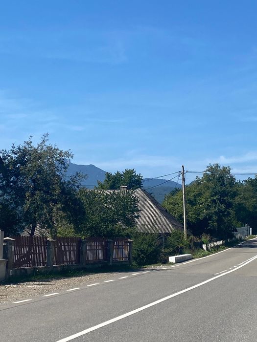 Vând teren Buhalnita